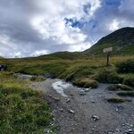 Photo taken by Irwin M