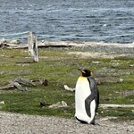 Photo taken by Yelena L