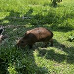 Photo taken by Kelly K