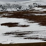 Photo taken by Rajarshi M