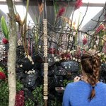 The amazing Lava Store atop Pacaya | Photo taken by BRAD K