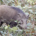 Photo taken by Wayne D