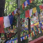 Observatory Hill, Darjeeling | Photo taken by carole c