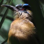 Photo taken by Mark B