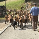 Photo taken by Jodi P