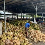 Photo taken by Wesley C