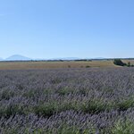 Photo taken by Lyon K