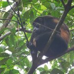 Photo taken by Brett F