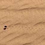 Photo taken by Cynthia D