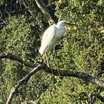 Photo taken by Kim L