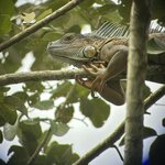 Photo taken by Sarah C