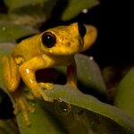 Photo taken by Sabine V