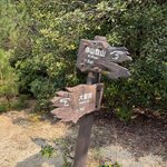 Photo taken by Nadine G