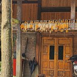 Photo taken by Sevi Y