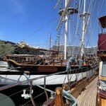 Photo taken by Anita H