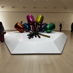 Photo taken by Liz S