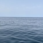 Photo taken by Kaisha S