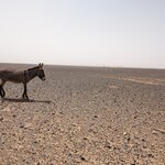 Photo taken by Beth M