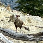 Photo taken by Sandra B