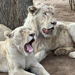 Photo taken by Kolla S