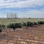 Photo taken by Graciela P