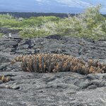 Photo taken by Gary W