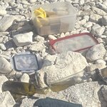 Photo taken by Ann P