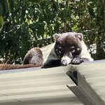 Photo taken by Bonnie Y