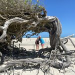 Photo taken by Hailey C