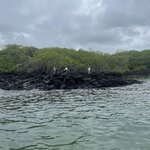 Photo taken by Jason C