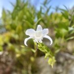 Photo taken by Kim C