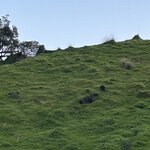 Photo taken by Amy W