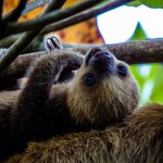 Photo taken by Wilbert A