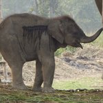 Photo taken by Arpita D