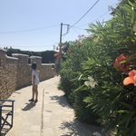 Photo taken by Janelle M