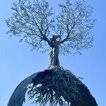 Photo taken by Erin J