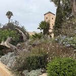 Photo taken by Ken Y