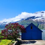 Photo taken by Linda M