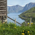 Photo taken by Valerie P