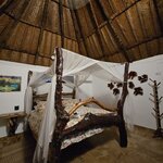 Photo taken by Peter F