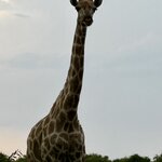 Photo taken by Christopher F