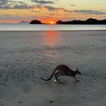 Photo taken by Lilly R