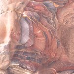 Photo taken by Patricia L