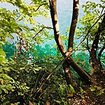 Photo taken by Dianne W