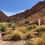 Puritama Hot Springs Atacama Desert  | Photo taken by Melody B
