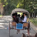 Photo taken by Stephen M