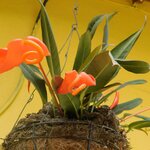 Photo taken by Brett F