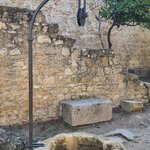 Photo taken by Laura R