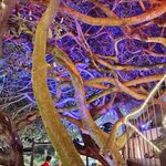 Photo taken by Victoria E