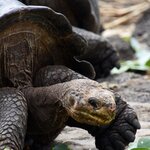 Photo taken by Joseph P